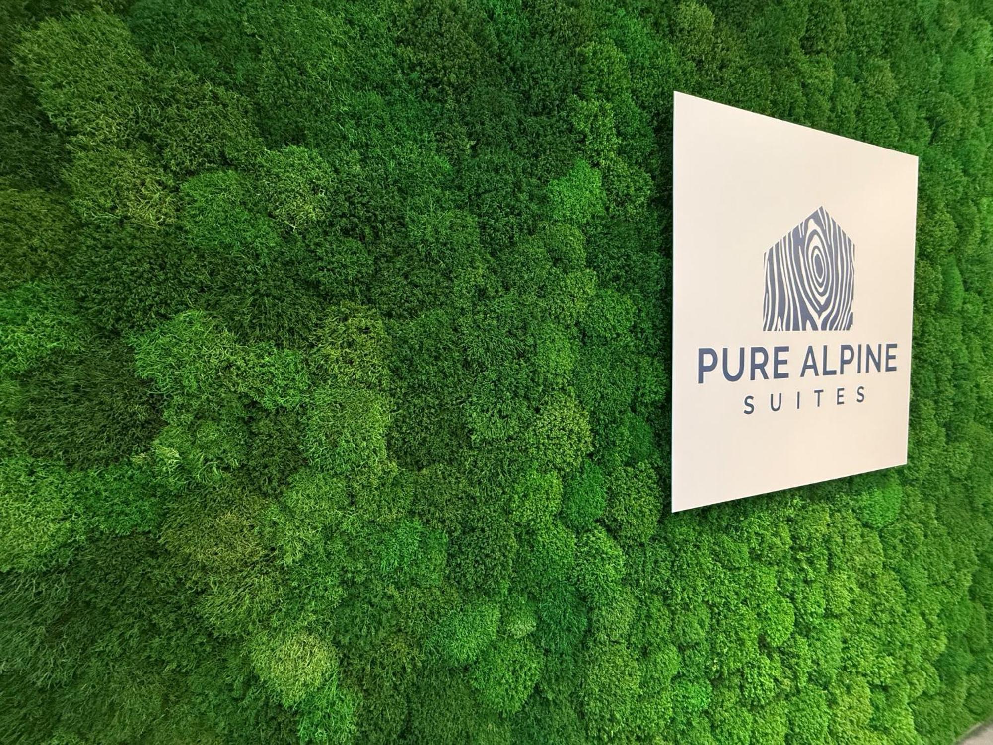 Pure Alpine Suites Шладминг Экстерьер фото